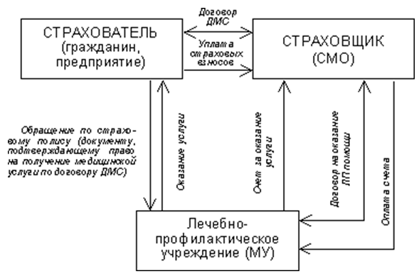 Схема взаимодействия субъектов ДМС