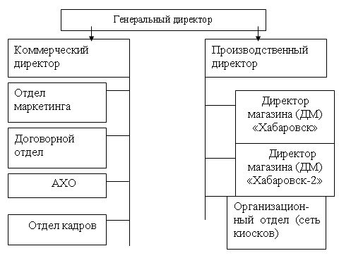 Организационная структура управления ОАО